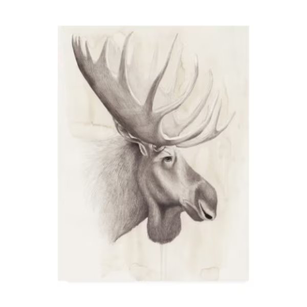 Grace Popp 'American Wilderness Iv' Canvas Art, 18x24, Trademark Fine Art, Mfr#: WAG11810-C1824GG